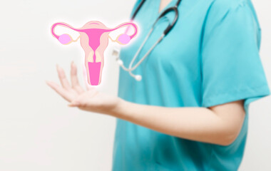 Doctor holding female reproductive system illustration 