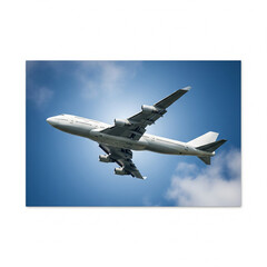 Obraz premium airplane in the sky