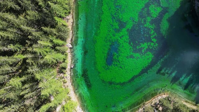 Aerial view of the vibrant Gruner See lake, where emerald green waters meet the dense, lush forest, creating a stunning contrast of colors, Tragob, Styria, Austria.
