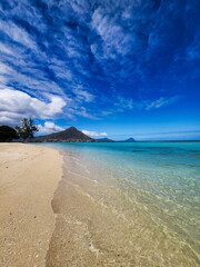 Tropical Beach with Turquoise Sea