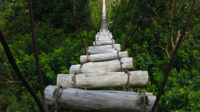 Fototapeta Log suspension bridge in the jungle. Log bridge leads into the wild jungle. Deep in the jungle.