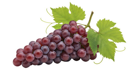 Obraz premium Isolated Purple Grapes