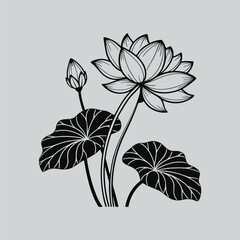 Black and White Magnolia Botanical Drawing