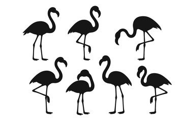 Set of flamingo silhouettes in various poses. Collection of exotic tropical birds. Minimalist vector illustration for summer design. Wildlife animal icons isolated on white.