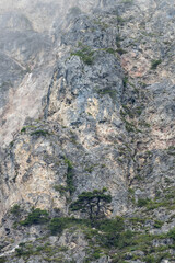 Misty morning revealing rugged mountain peak, rolling fog softening rocky terrain with scattered...