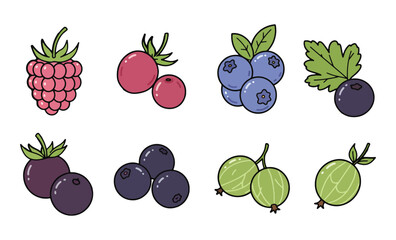 Colorful illustrations of various fresh, ripe, and delicious berries, perfect for culinary use.