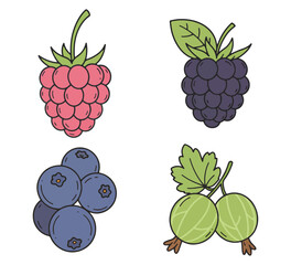 Four different types of colorful, cartoon-style berries, each with unique characteristics, are presented.