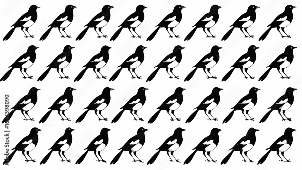 Poster repeating pattern of black and white magpies standing in rows on a white background surface view