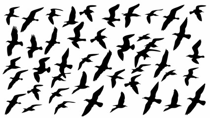 Silhouette illustration of a flock of birds flying against a white background in various orientations
