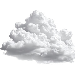 Large, fluffy white cloud in grayscale