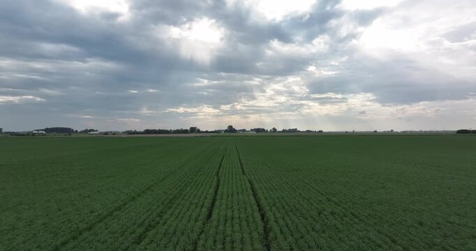 Aerial view of neatly planted crop fields stretching to the horizon under a sky with sun rays piercing through the clouds, Monroeville, Indiana, United States.