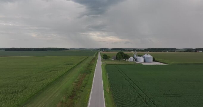 Aerial view of lush green fields contrasting with the grey road and buildings, creating an immersive landscape, Monroeville, Indiana, United States.