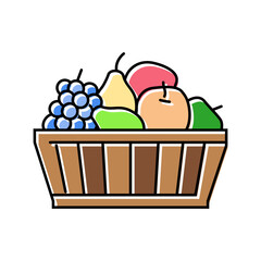 fruit basket slow living color icon vector illustration