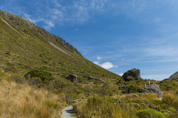 ニュージーランド　アーサーズ・パス国立公園のドブソン・ネイチャー・ウォーク沿いの風景