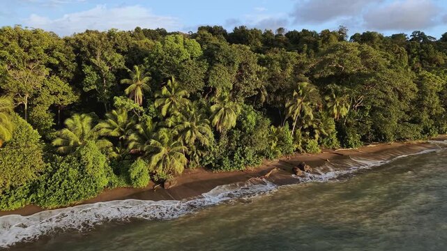 Aerial view of the lush green coastline meeting the dark sandy beach and the ocean's gentle waves, Nuqu&iacute;, Choco, Colombia.