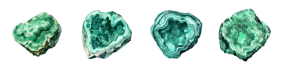 Obraz premium Four natural malachite gemstones with intricate green banded patterns including two revealing unique internal structures