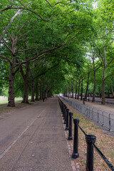 Tree-lined path, Constitution Hill, London, UK