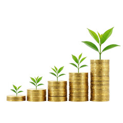 Stacks of coins with growing plants on transparent background