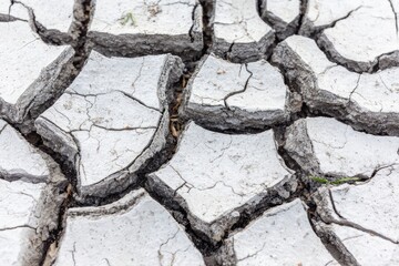 Cracked, parched earth