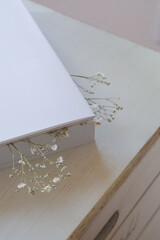 押し花のカスミソウ｜白背景のシンプルな花素材