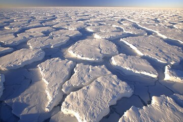 Ice floes cover a vast expanse