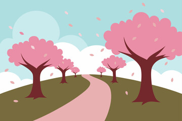 cherry tree in spring