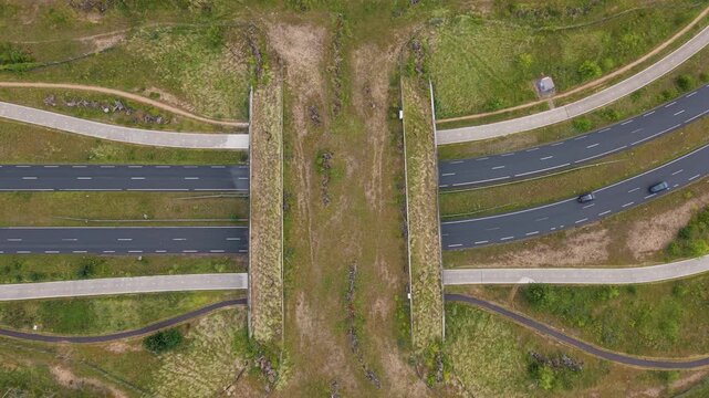 Aerial view of wildlife crossing eco-bridge over motorway, ecoduct linking natural habitats and infrastructure
