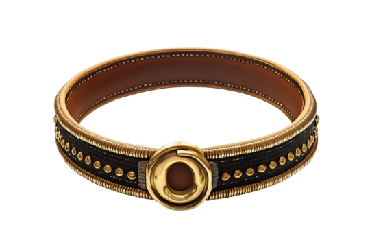 Dog collar with metal ring isolated on transparent background