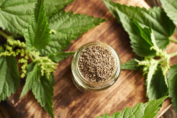 Dried stinging nettle seeds in a jar with fresh leaves on a table