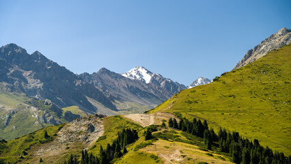 green slopes of mountain peaks. summer in the mountains
