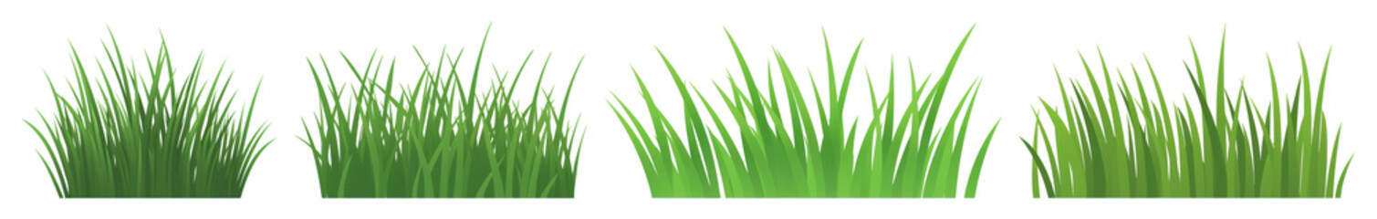 Fototapeta premium PNG Lush green grass illustrations, element set on transparent background