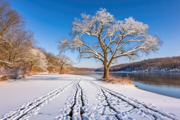 Winter wonderland scene by a frozen river.  A snow-covered path winds along the shore, with a frosted tree standing tall
