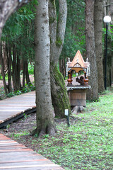 Arboretum path with wooden squirrel feeder in Pereslavl-Zalessky