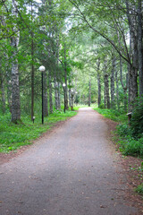 Arboretum path in Pereslavl-Zalessky