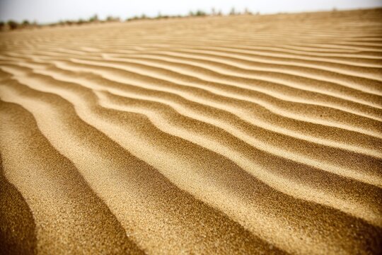 Close-up of desert sand dunes, displaying wavy patterns - Powered by Adobe