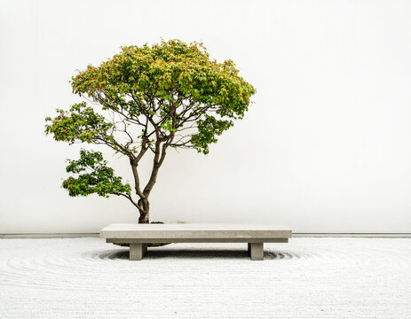 Zen-Garten der Stille / Zen Garden Serenity