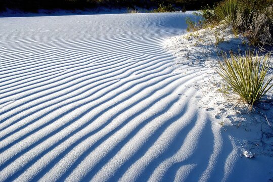 White sand dunes with rippled patterns