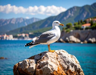 Seagull perched on a rock overlooking the sea and mountains