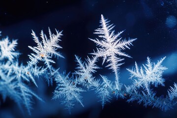 Close-up of intricate frost patterns on a dark background