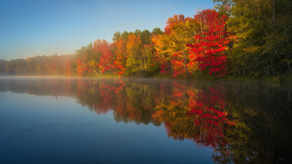 Fototapeta premium Vibrant autumn forest reflected in a misty lake at sunrise