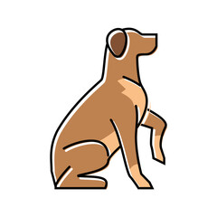obedience training dog competition show color icon vector illustration