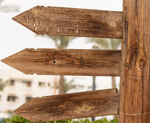 wooden signs in the park