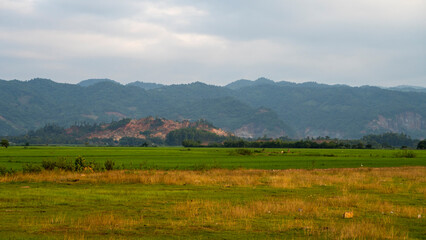 Shot of paddy fields with hills in the backdrop