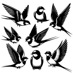 A collection of swallow birds in various poses including flying perched and resting in black and white style