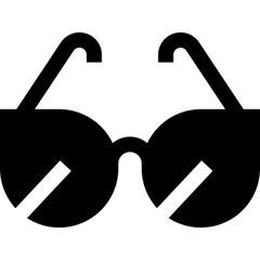 Sunglasses Vector Icon