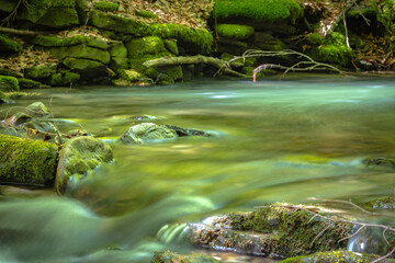 W Dolinie Szczawnika w Muszynie latem. © rogozinski