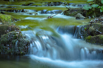 W Dolinie Szczawnika w Muszynie latem. © rogozinski