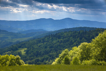Fototapeta premium Panoramy spod Bacówki nad Wierchomlą latem.