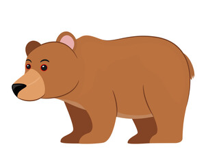 Cute bear on a white background.