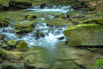 W Dolinie Szczawnika w Muszynie latem. © rogozinski